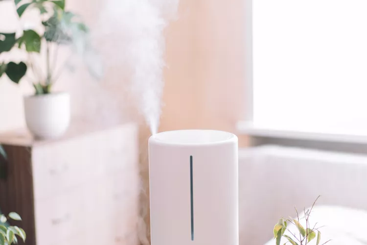 Humidifier Placement 101: Expert Tips for Optimal Use During Winter