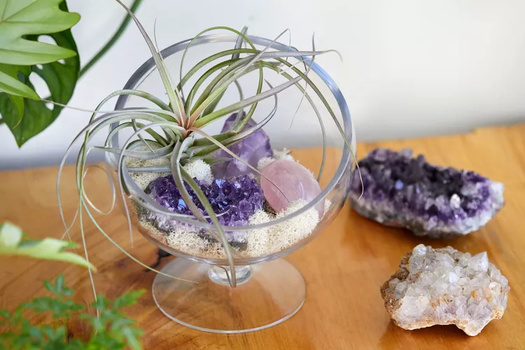 12 Creative and Stylish Ways to Display Crystals in Your Home